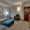 Drury Plaza Hotel Richmond - Glen Allen