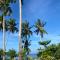 Coconut Suite