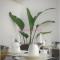 MOONTEN Boutique Stay