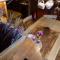 Wooden love nest