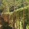 Karibu home stay