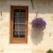 Chateau Haut Baron photo 23