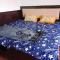 Hotel O Home KD Group Homestay