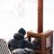 Ådalsvollen Retreat -Go Wild for a While, Private Nature Getaway