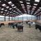 Reit- und Ferienhof Maack