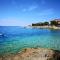 Relax Mandre 200m from the beach Sea view