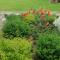 Villa River Rose