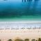 Brand new sea view apartment in Beachfront - Dubaj