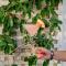 Lato Boutique Hotel