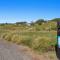 Beach Bach on the Dune Trails - Tirohanga