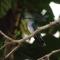 Eco Hotel Amanecer Tayrona