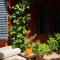 BE Jardin Escondido By Coppola