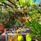 BE Jardin Escondido By Coppola