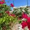ABBE Garden Hideaway