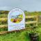 Geodome with sea views near Pendine - Pendine