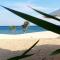 Sandy Boutique House -Phu Quy Island - by Bay Luxury