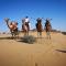 Crazy Camel Hotel & Safari - Jaisalmer