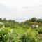 Peaceful Farmhouse in Verbania with Garden