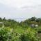 Peaceful Farmhouse in Verbania with Garden