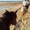 Aparra Surfcamp Auberge Capbreton
