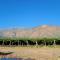 Suit Chalet Cafayate Salta