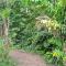 Cabañas Bajo Bosque Drake Cabañas Bajo Bosque Drake