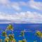 2821-22 Ridge - Kahana