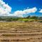 2821-22 Ridge - Kahana