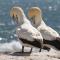 Lamberts Bay Hotel