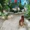 Hospedaje y jardin botanico chiltun maya - El Remate