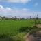 Trinadhi Homestay