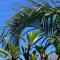 PA1,Great Holiday in Sunshine Beach with your pets
