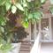 Unique appartement standing 70m2 !entre lagune port animé et à 2mn de la plage