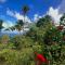 Happy-Nest (First floor) - Marigot