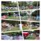 CLUB CAMPESTRE EL BOSQUE