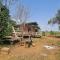 Shared Happy Farm