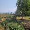 Shared Happy Farm