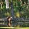 Bardiya Eco Safary Homestay