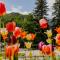 Hotel O3zone - Mountain Spa & Conference
