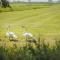 B&B Louisehoeve