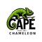 Cape Chameleon - Nottingham Road