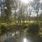Le moulin Grenon