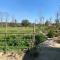 Nanus Bardiya Homestay