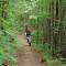Honeymoon Getaway in woods near NOC and Smoky Mtn RR