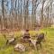Near Big Boulder Mtn Cabin with Furnished Deck