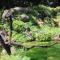 Delightful Sukiya Tiny House! Japanese Garden in Homestead