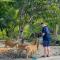 Nehansa Resort and safari