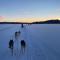 Sixty Six Degrees North - Lapland Home & Forest - Överkalix