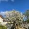 Chambourcy poissy