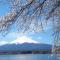 Lake Kawaguchi Rental Villa Tozawa Center - Vacation STAY 46833v - Оиси